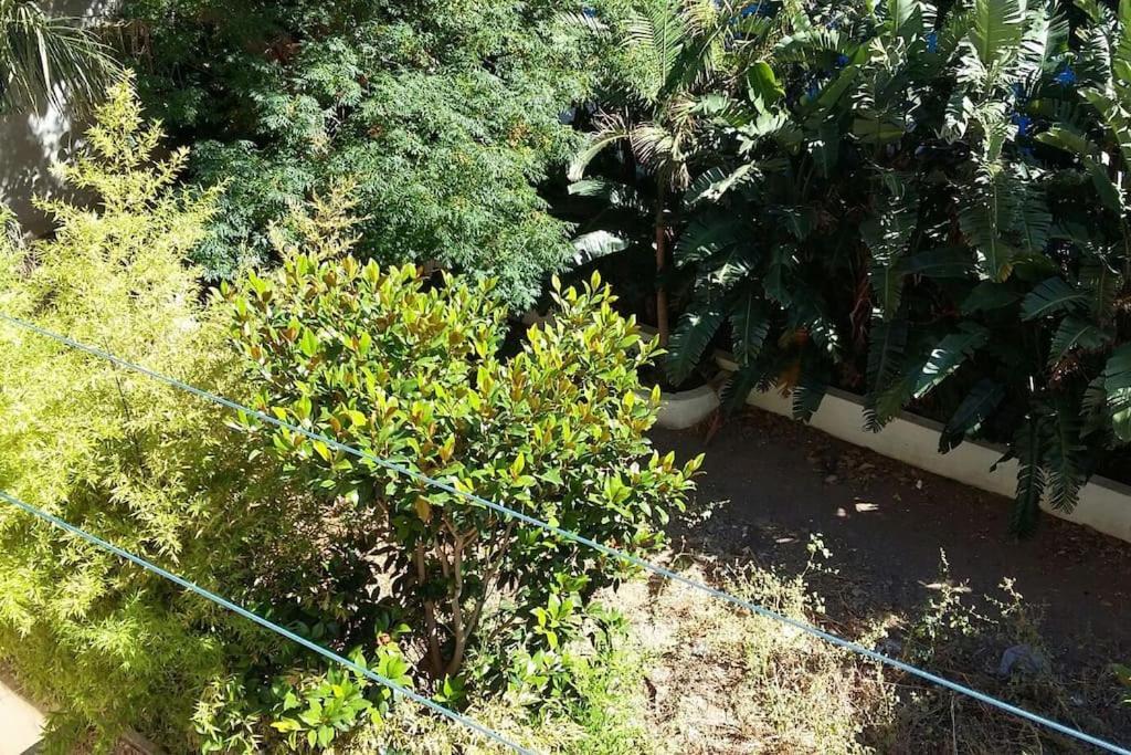 Seaside Family Apartment Loutraki מראה חיצוני תמונה